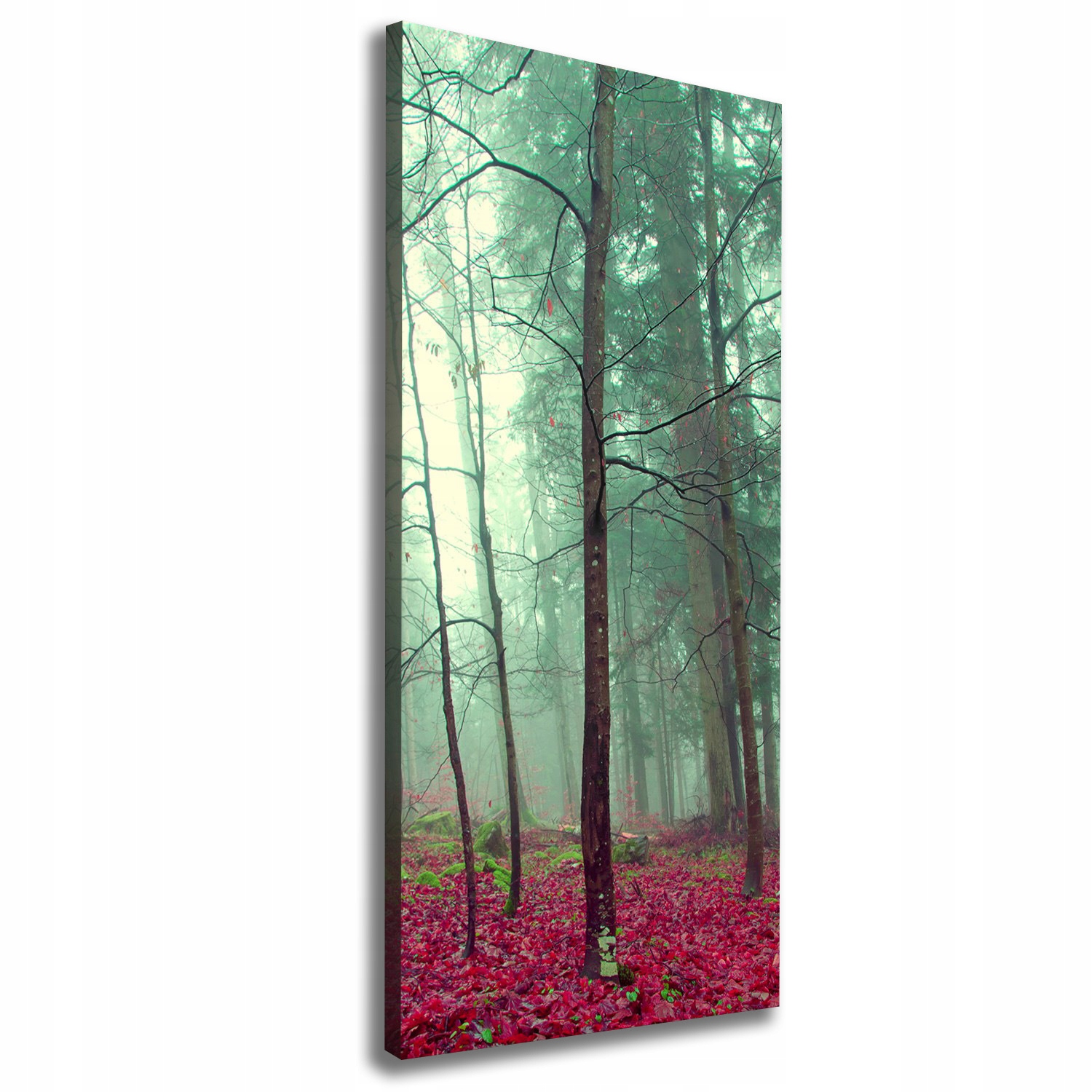 

Foto obraz canvas do salonu Las jesienią 50x125