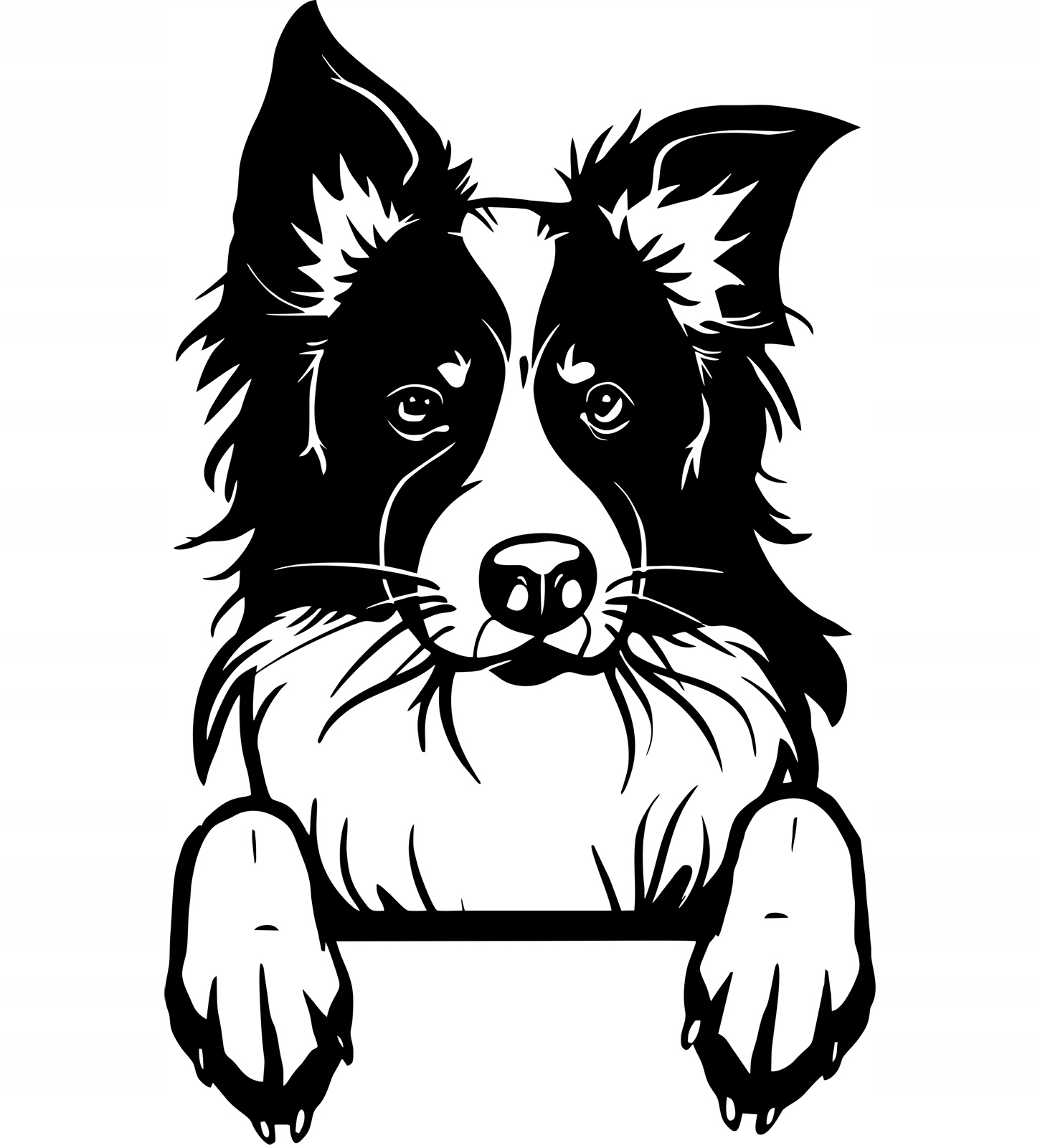 

Naklejka Border Colie Pies Dog 20x12,5 cm kolor