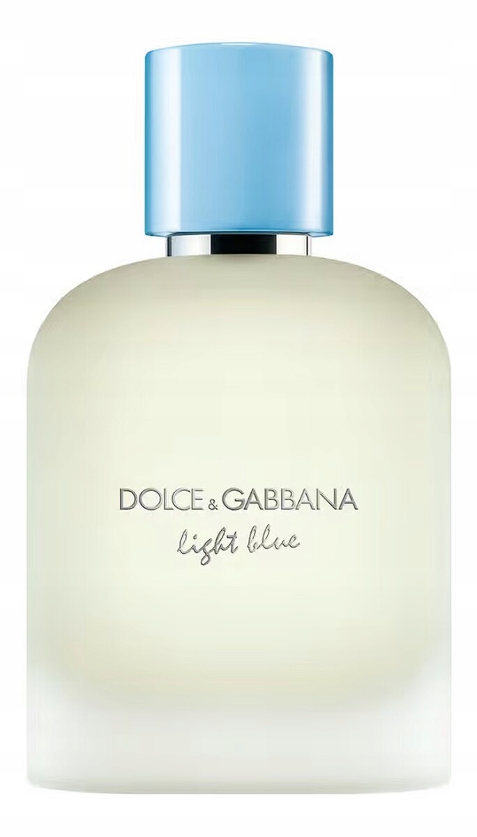 Dolce & Gabbana Light Blue Pour Homme Toaletní voda sprej 100 ml
