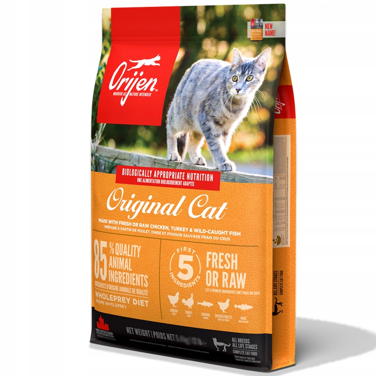 Orijen Cat Kitten 1,8 kg dla kotów i kociąt