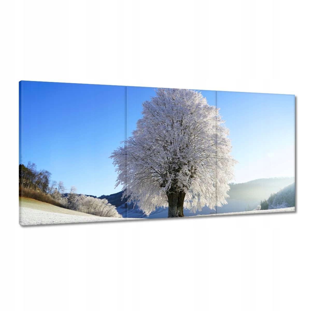 Obrazy 180x90 Zimná fotografia stromu