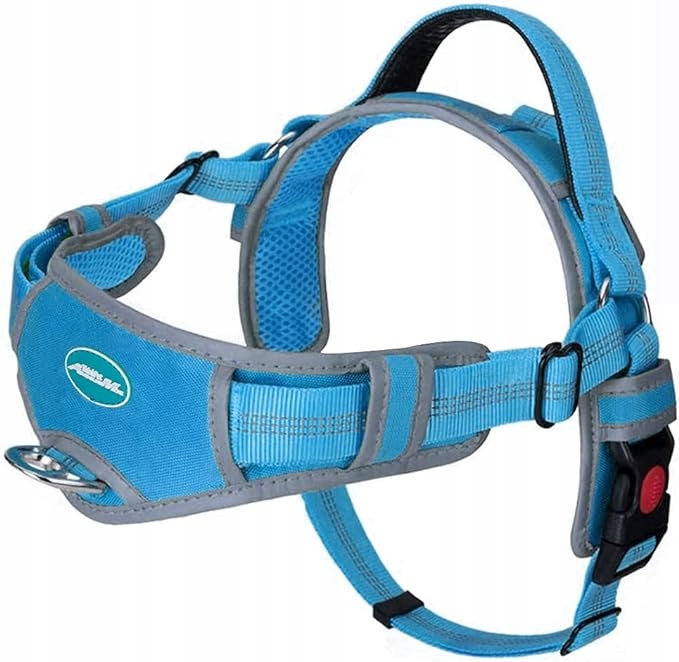 Levně Postroj pro psa Postroj XXL Reflexní prvky