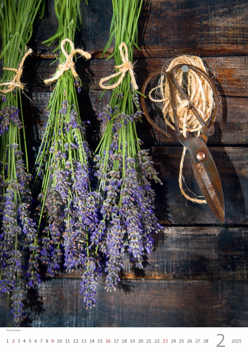 Kalendarz ścienny - Prowansja 2025, 31,5 × 45 cm Kalendarz na rok 2025