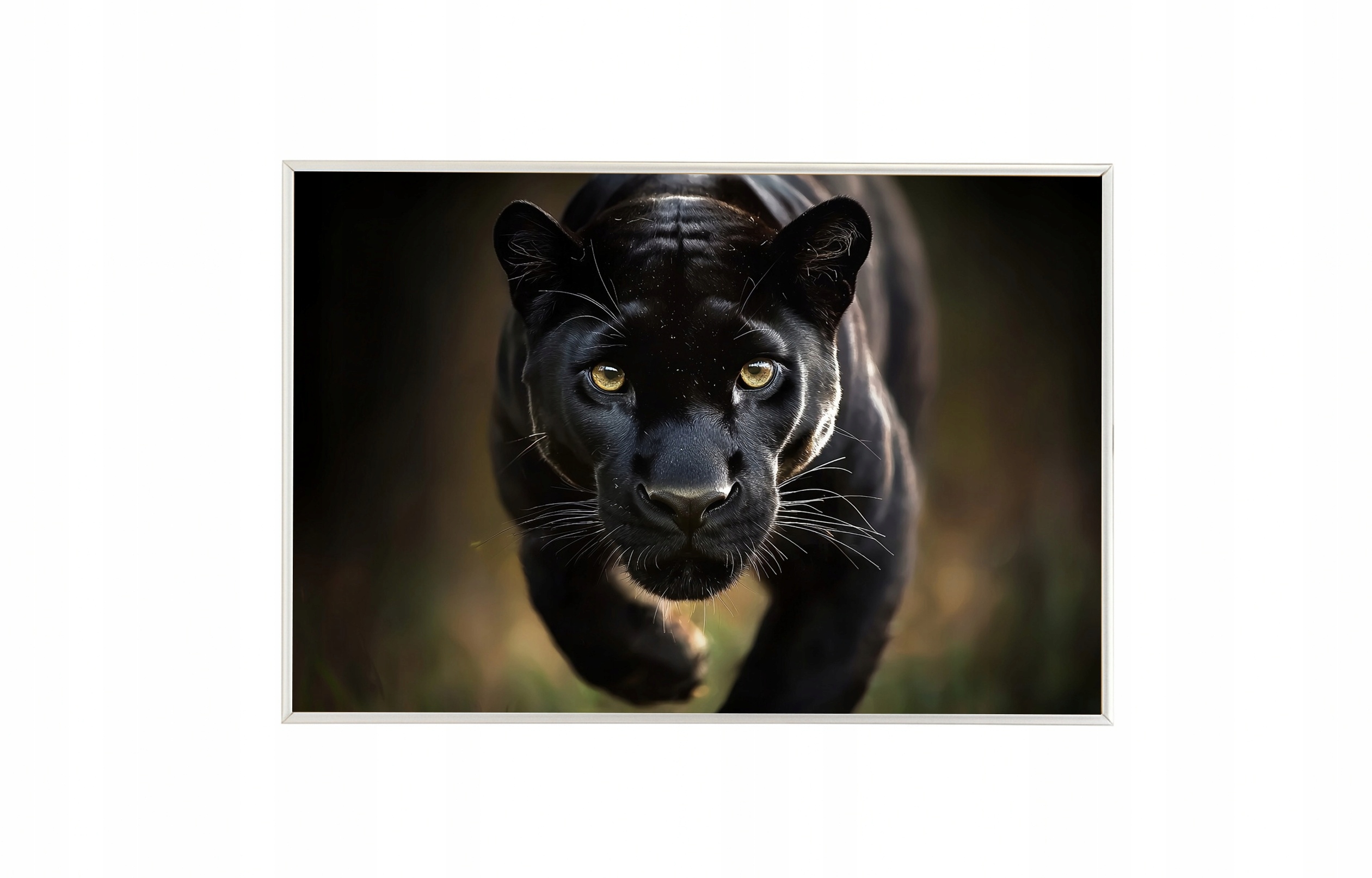Plakát Rámeček Aluminium Zvíře Dravec Kočka Černá Pantera Puma 93x62