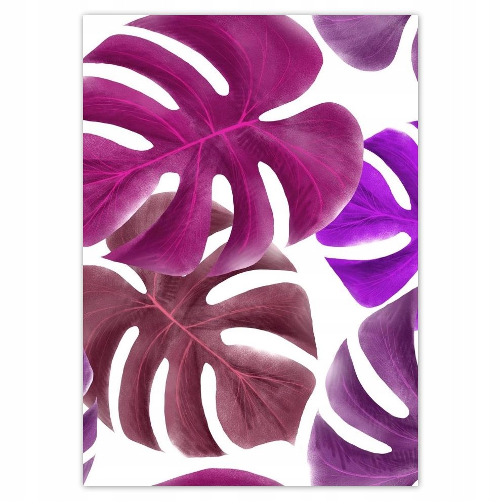 

Naklejki 50x70 Monstera Liście Fiolet