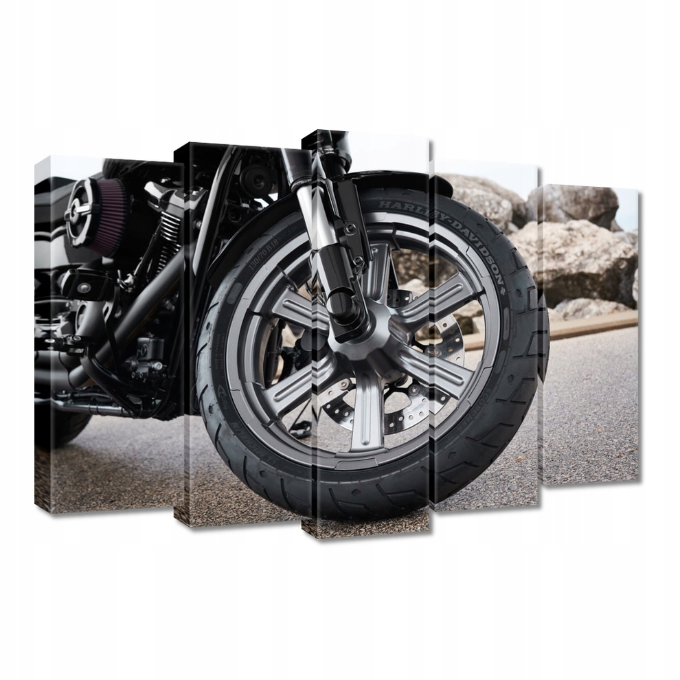 

Obrazy 70x50 Harley Davidson Motocykl