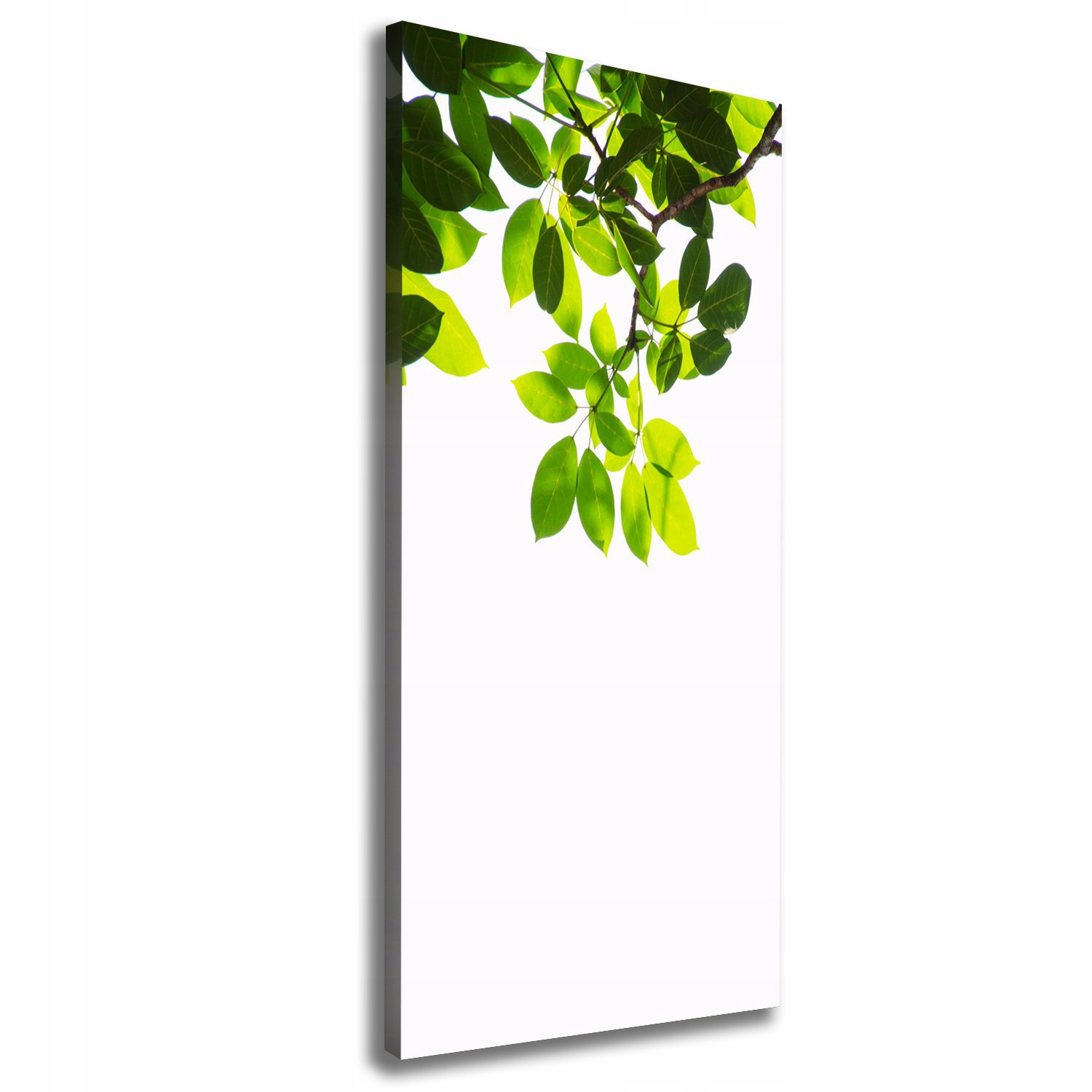 

Foto obraz na płótnie Zielone liście 50x125 cm