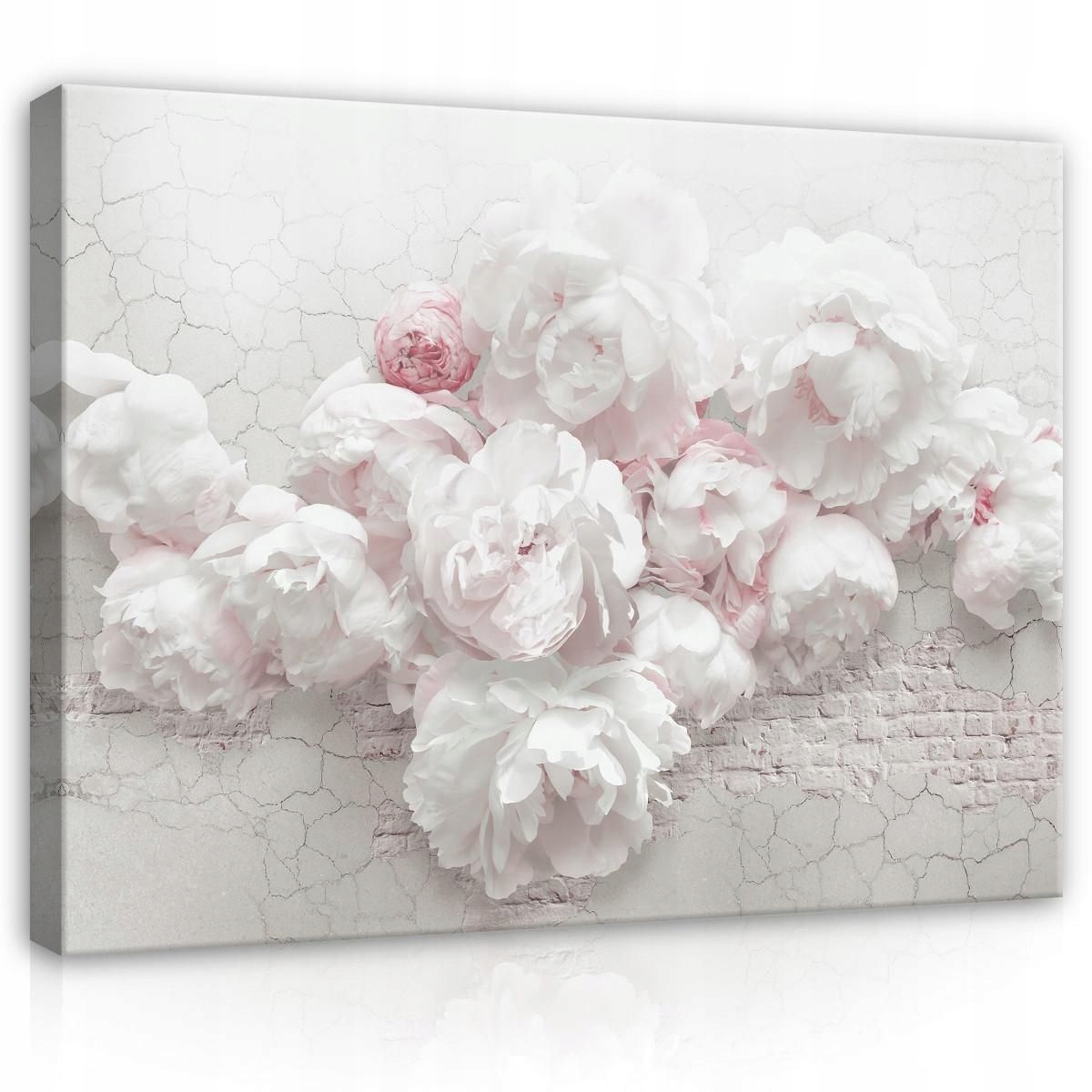 Obraz Na Plátně Canvas 100x75 Bílé Pivoňky Květina