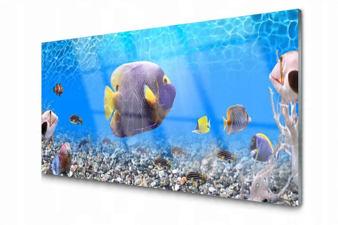 

Panel szklany dekor Ryba Morze 120x60 + Klej