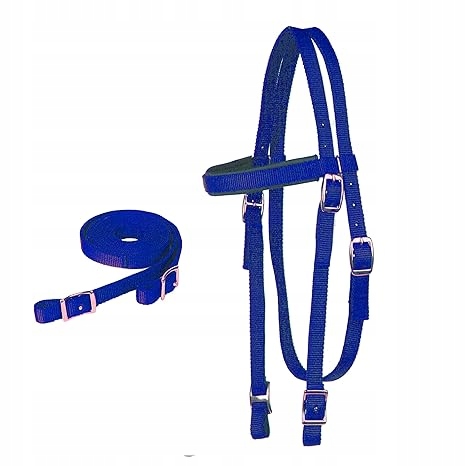 Majestic Ally Nylon Padded Browband Headstanll s náčelníky pro koně Modrý