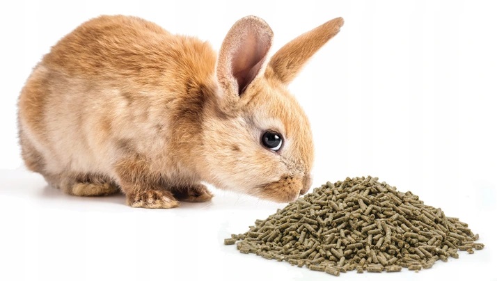 KARMA POKARM DLA ŚWINKI MORSKIEJ KAWII 1000g EAN (GTIN) 5902367961572