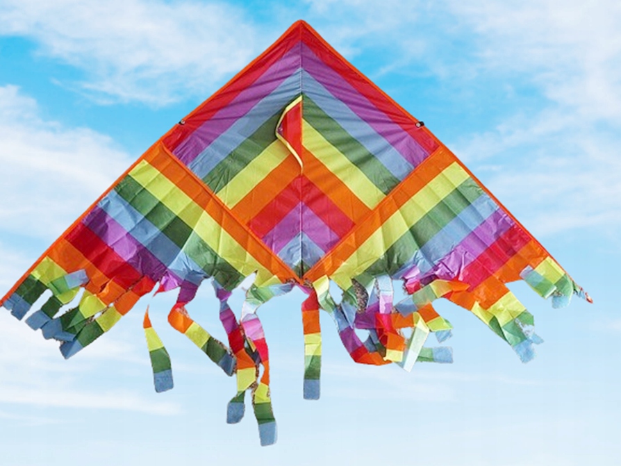 Latawiec 130x100cm Marka Import