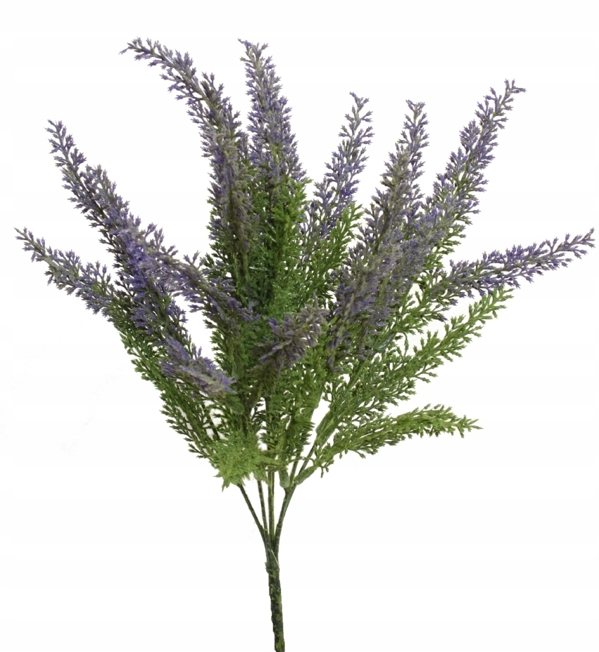 

Wrzosiec Wrzosy W Bukiecie 38cm