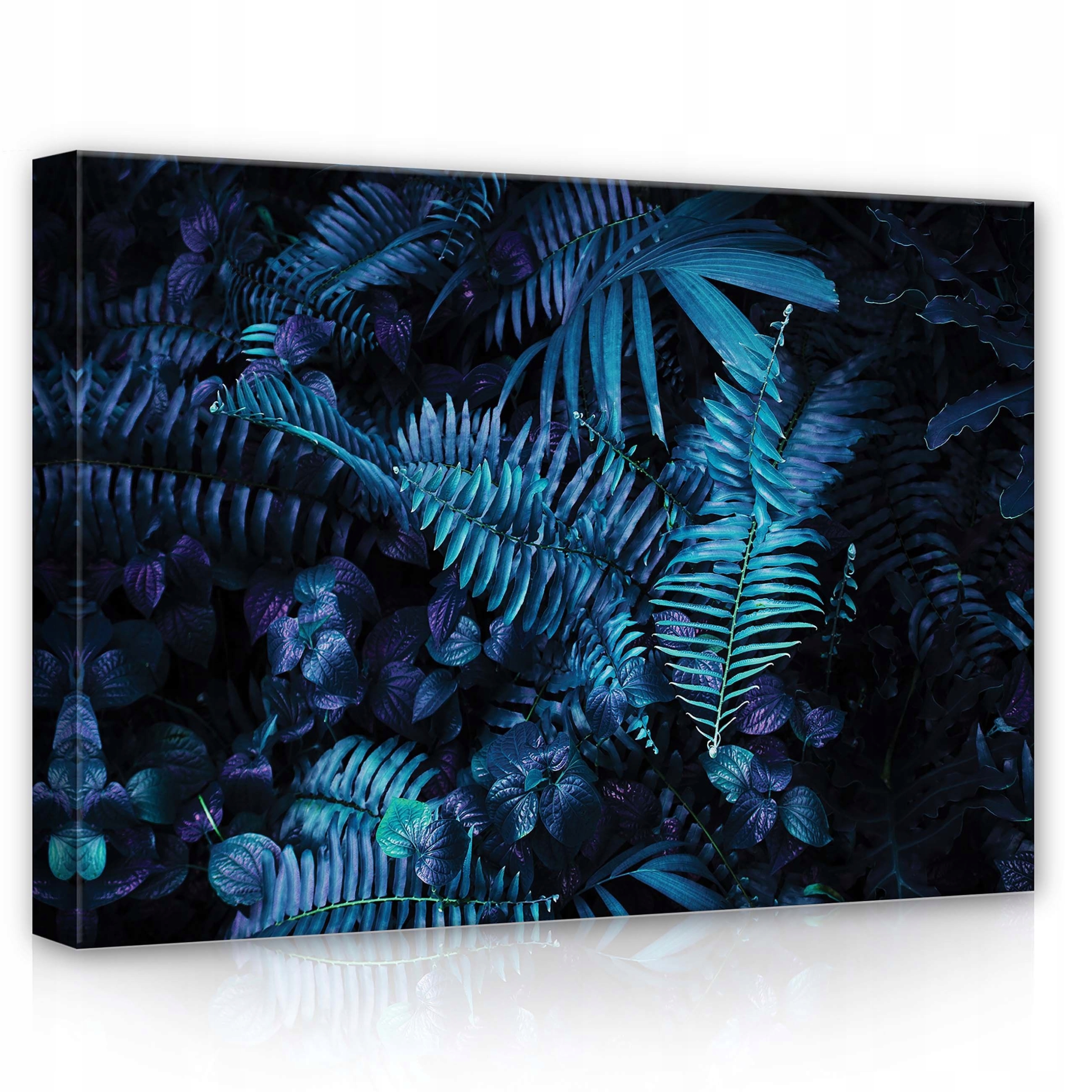 Obraz 70x50 Tropická vegetace kapradina palmové listy tmavý tajemný