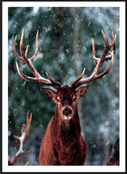 

Obraz A3 Plakat Jeleń Natura Boho Las Modny Piękny