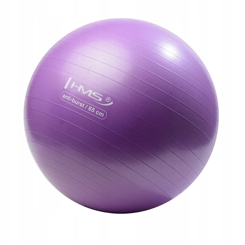 Piłka Do Ćwiczeń Gimnastyczna Fitness 65cm YB02 Hms Fioletowa Pompka