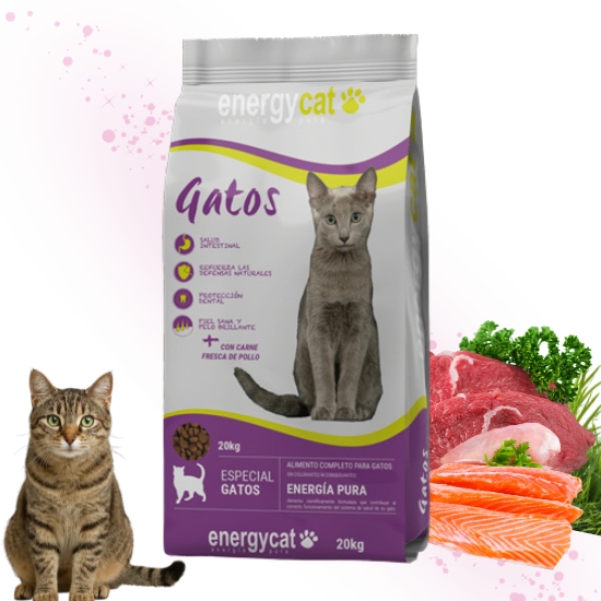 Energycat dla kotów dorosłych 20kg