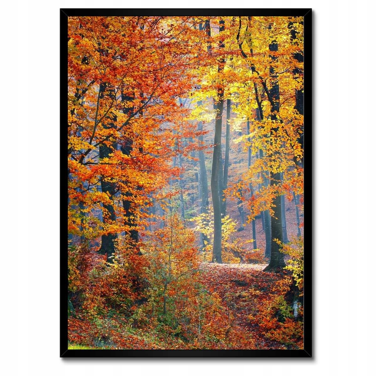 Plakáty v rámu 50x70 Zlatý podzim