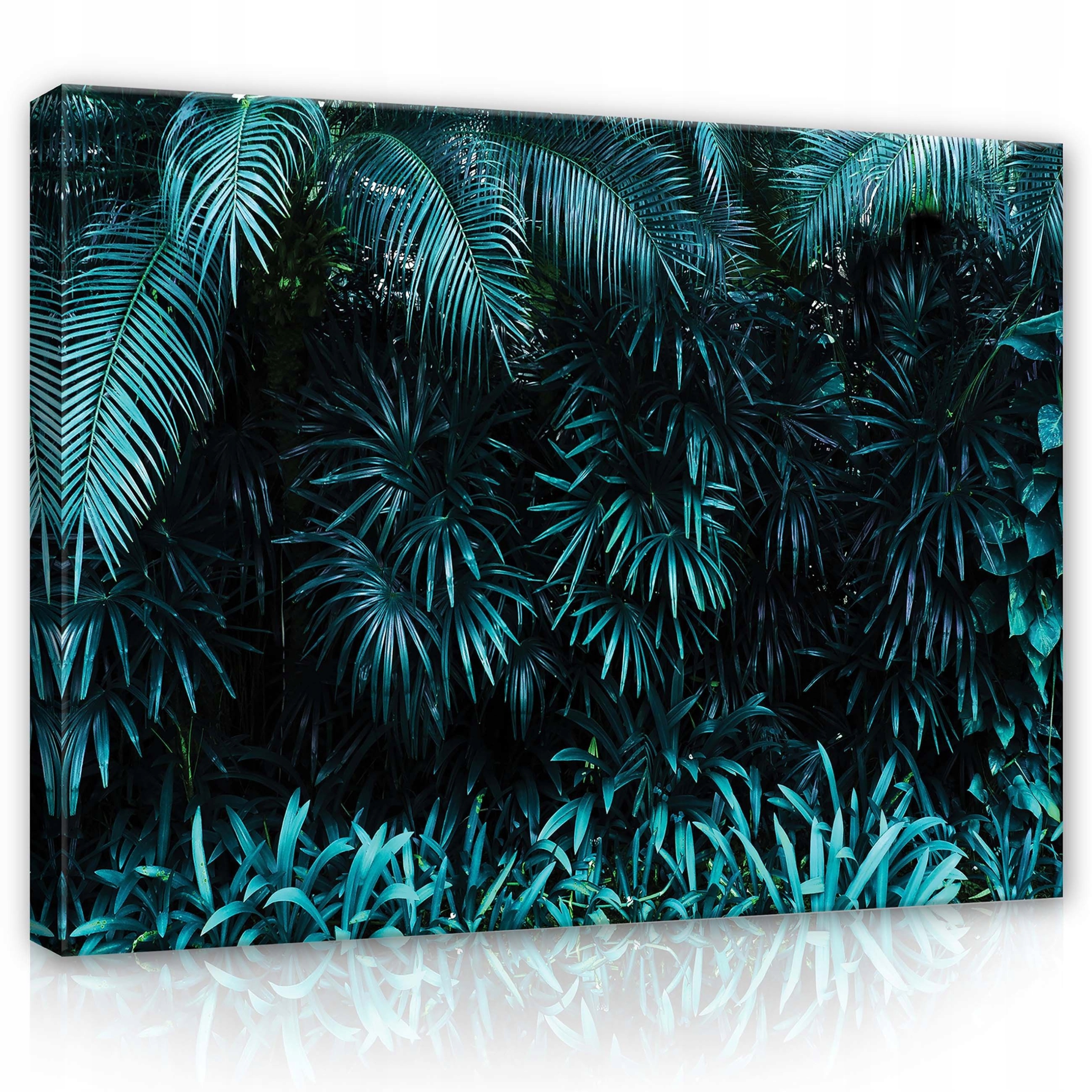 Obraz 80x60 Tropické palmové listy bujná zeleň klid příroda