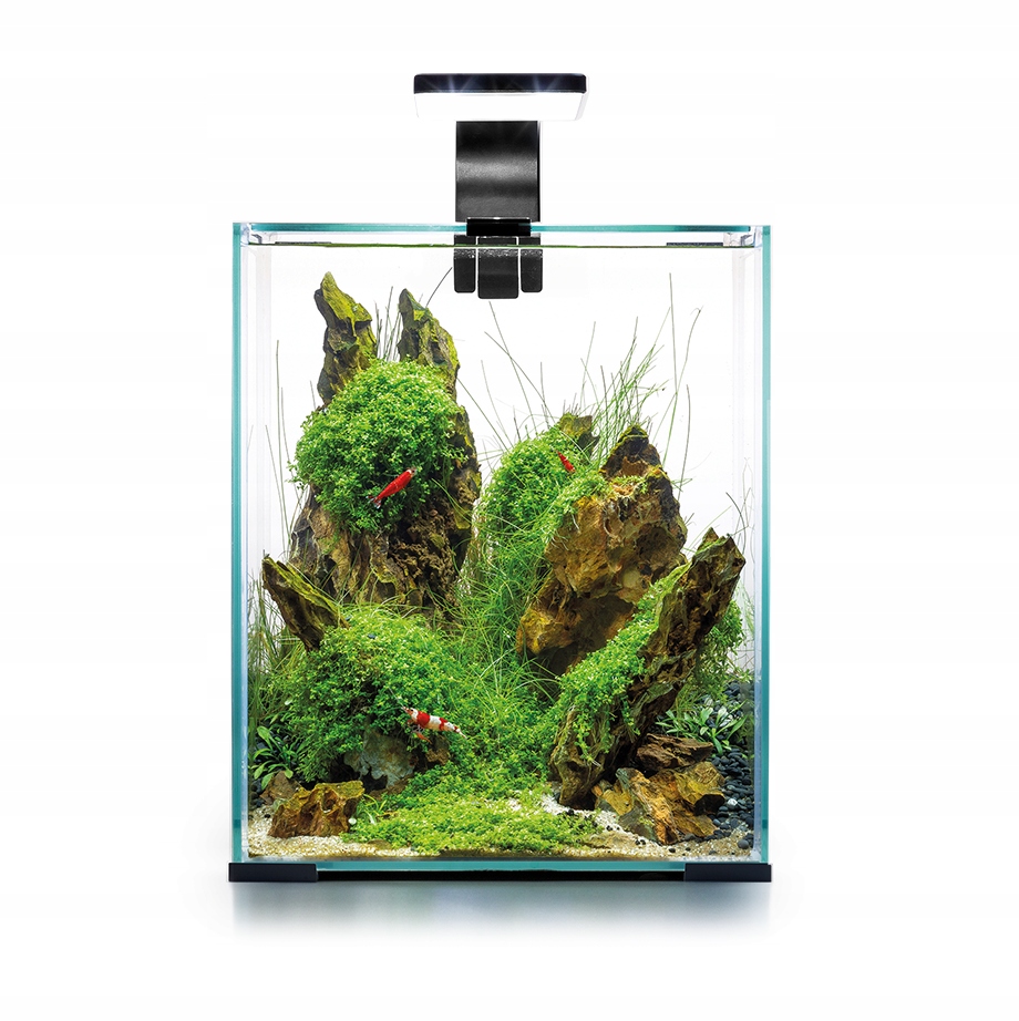 

Aquael Shrimp Set Day&Night 10 Czarny Akwarium