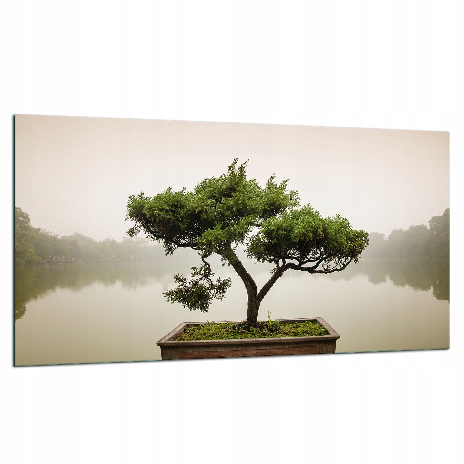 Skleněná Ochranná Deska Na Sporák 90x52 Dřevo 7v1