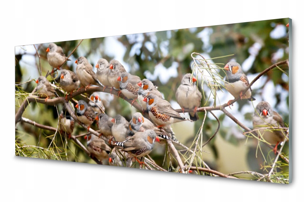 

Panel szklany do kuchni Ptaki Zwierzęta 125x50