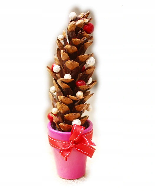 MINI CHOINKA Z SZYSZKI BN