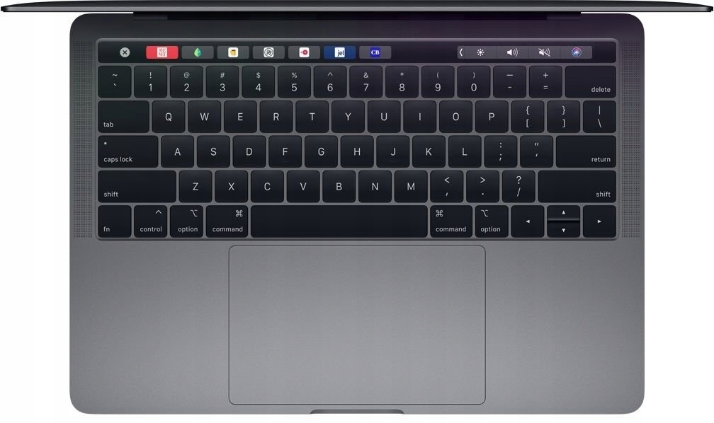 Laptop MacBook Pro A2159 13,3 &quot; i5 16 GB 256 GB Space Gray Model A2159