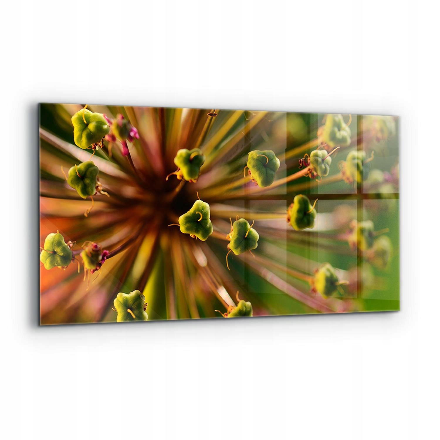 Dekoračný panel Kvet makro fotografia 120x60 cm