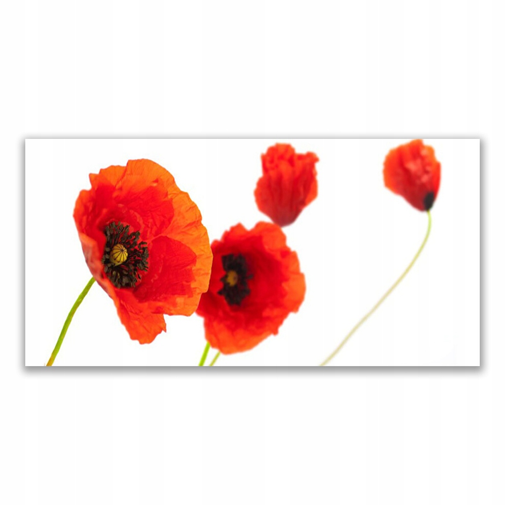 

Fotoobraz wiszący na prezent 120x60 Kwiaty Roślina