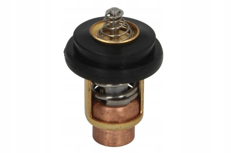 Budweg Caliper 183638 прокладка, поршень