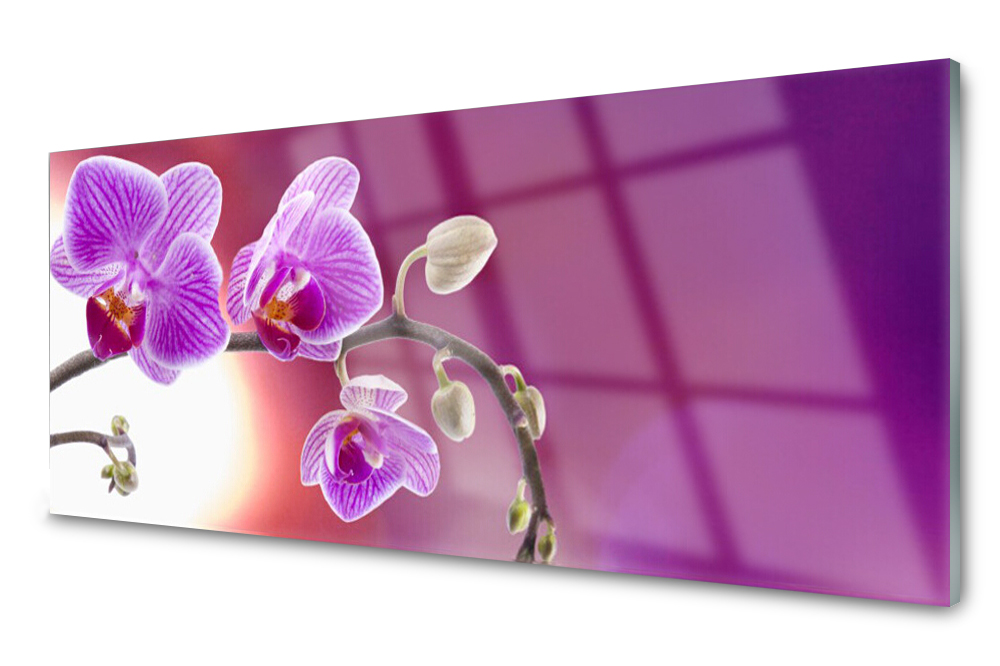 

Panel szklany do kuchni Kwiaty Roślina 125x50