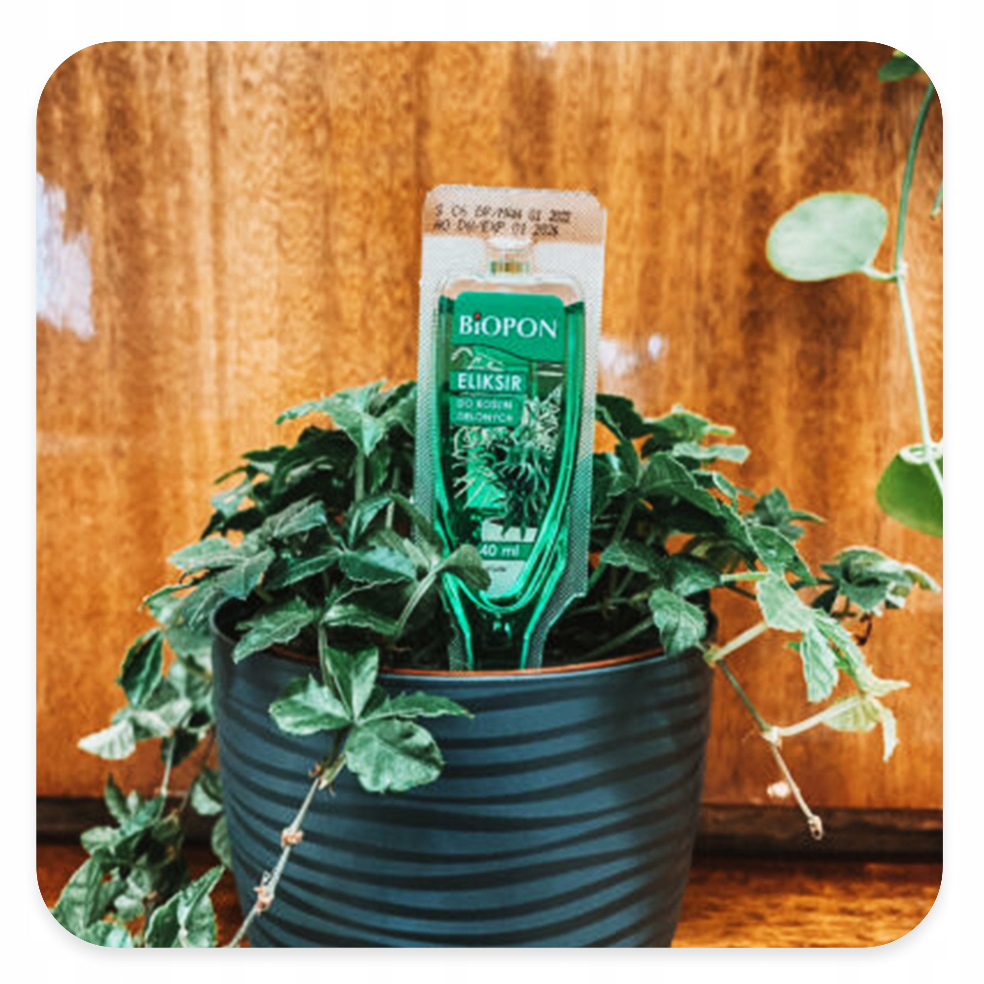 NAWÓZ WIELOSKŁADNIKOWY Uniwersalny 40 ml Płynny KWIATÓW ZIELONYCH Odżywka Waga 0.15 kg