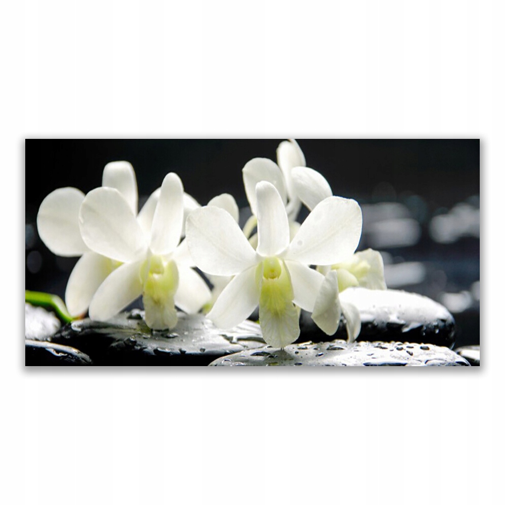 

Fotoobraz ścienny 120x60 Kamienie Kwiaty Orchidea