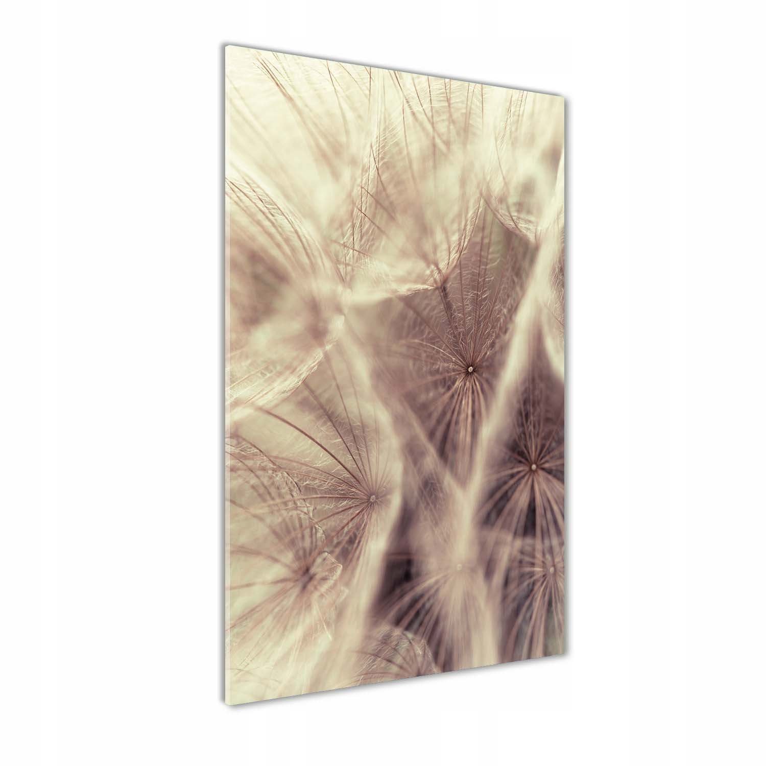 

Foto obraz szkło hartowane Dmuchawiec 60x120 cm