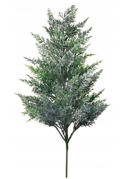 

Choinka na piku drzewko Tuja cyprys śnieg 48 cm