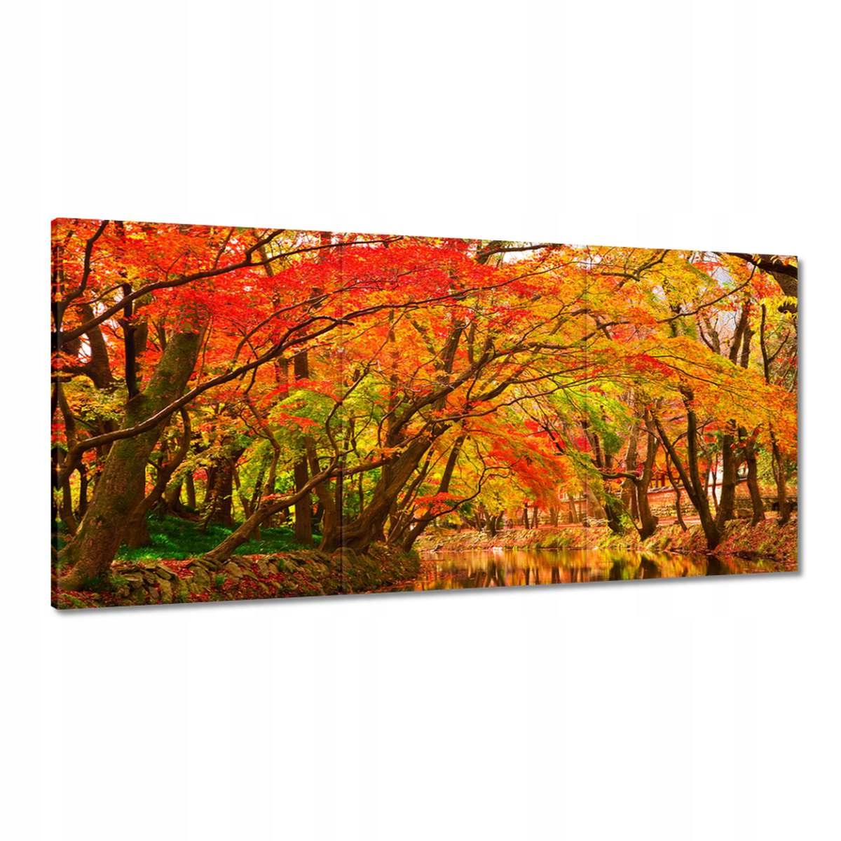 Obrazy 120x60 Podzimní krajina s řekou