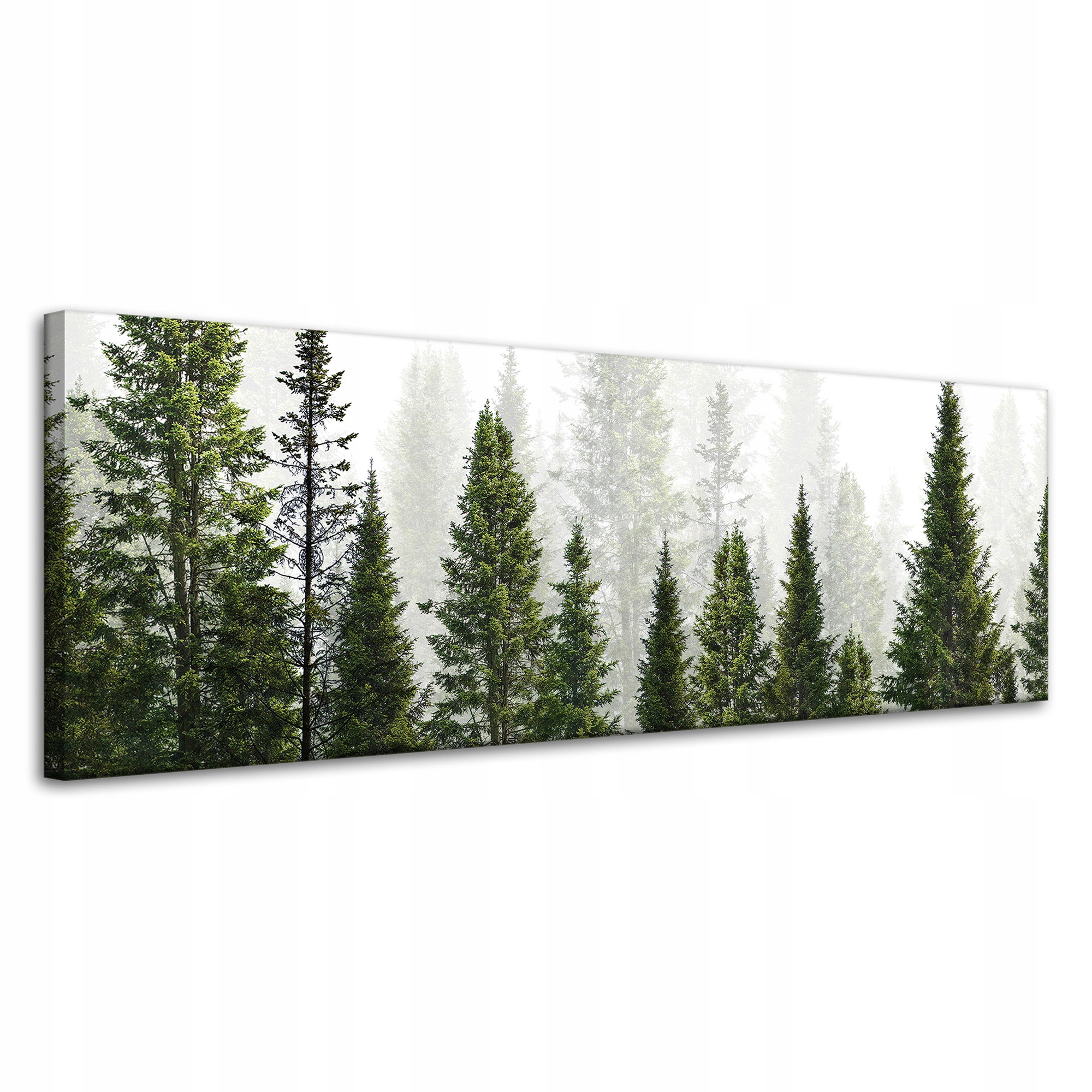 Obraz na plátně Dešťový les Příroda Stromy 120x40 cm