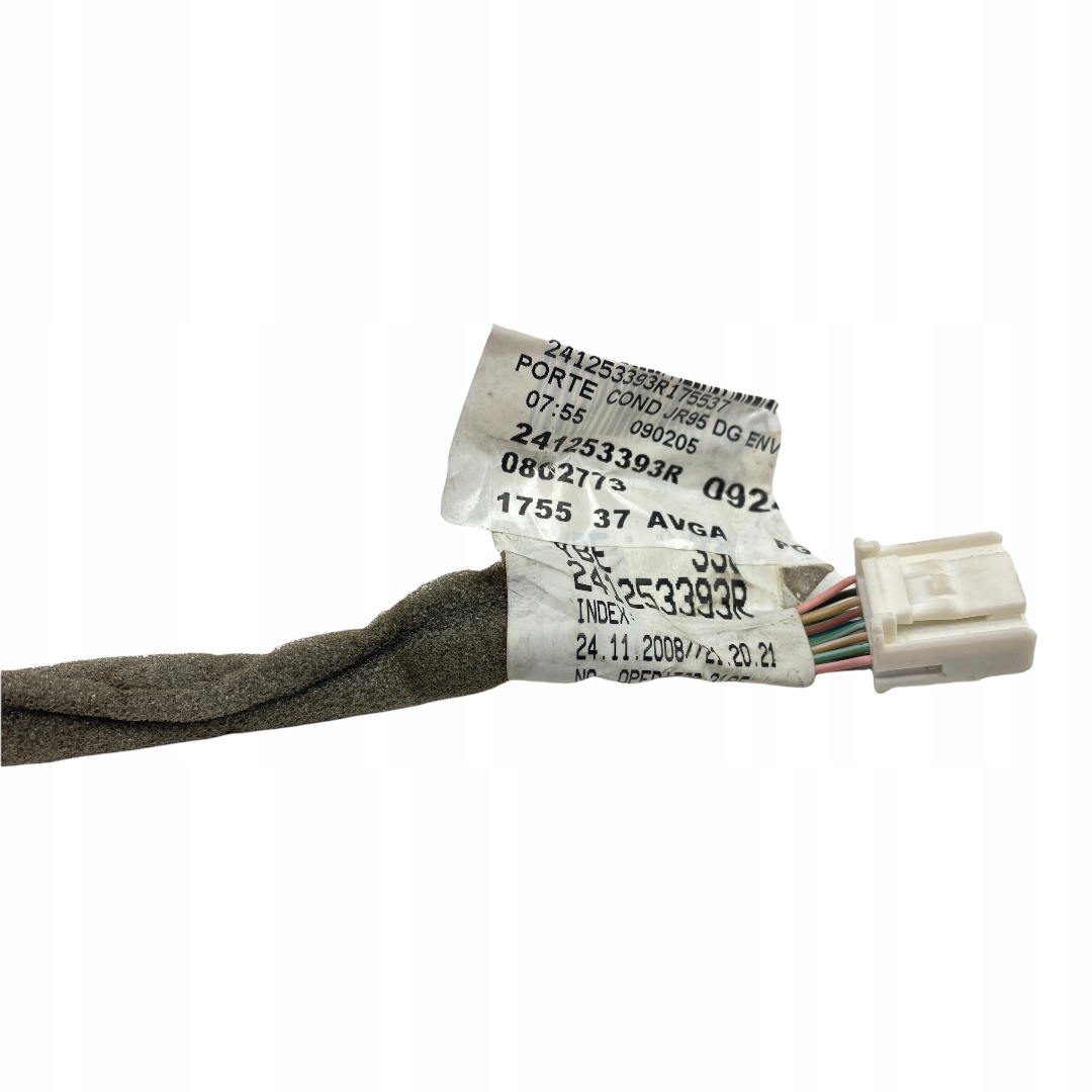 Instalacja drzwi lewy przod Renault Scenic III Part number 241253393R