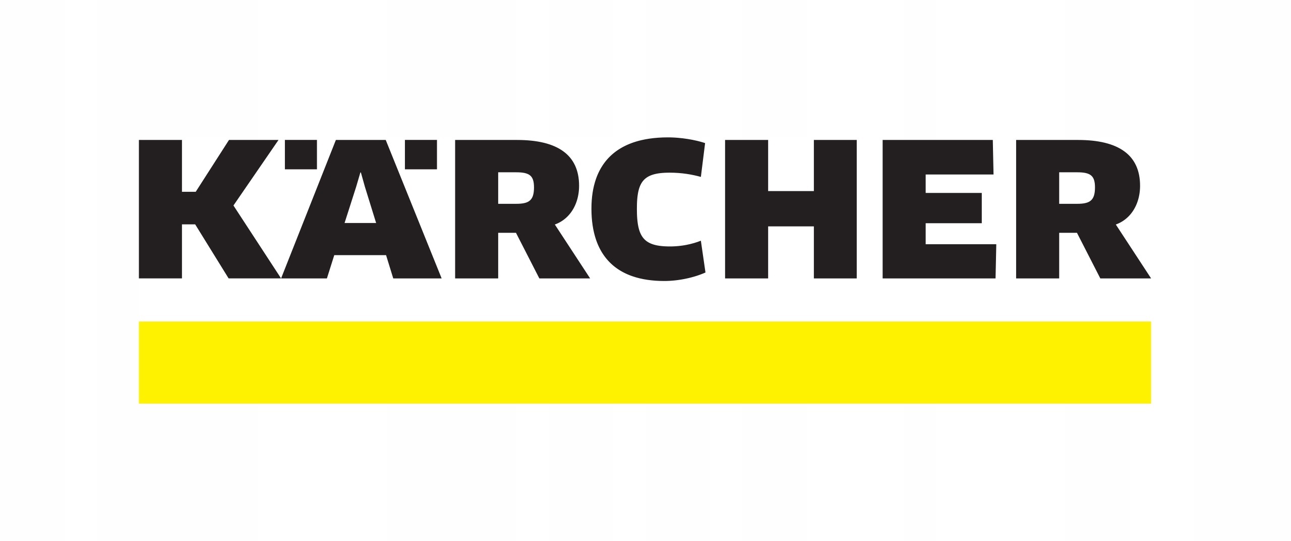 KARCHER ODKAMIENIACZ W PROSZKU parownic SC1 2 3 4 Postać proszek