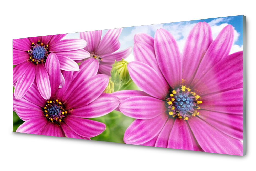 

Panel szklany do kuchni Dekor Kwiaty 125x50