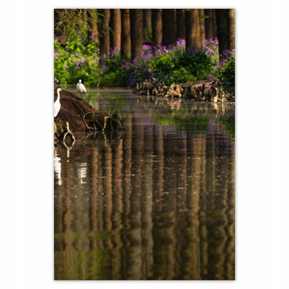 

Plakaty 40x60 Pejzaż Krajobraz Widoczek