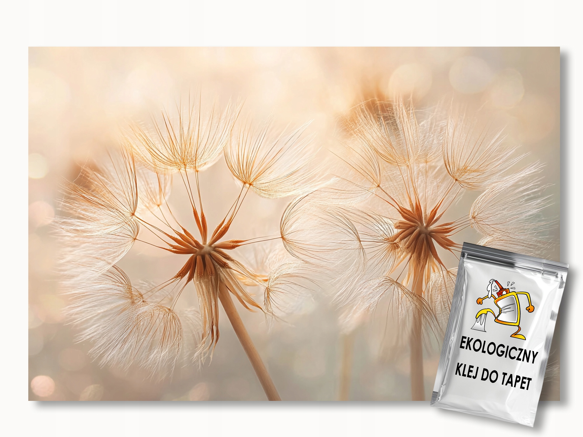 Fototapeta Flizelina Rostlinnost Květiny Foukačky Makro Boho 200x140 155g