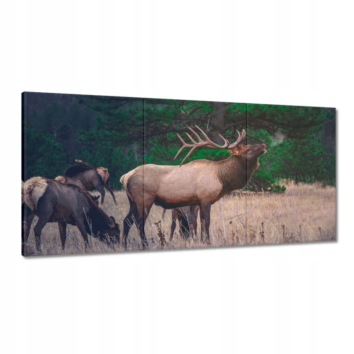 Obrazy 180x90 Jeleň Les Krajina