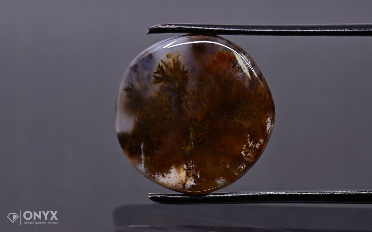 Dendritový achát z Kazachstánu konvexní mělký kruh