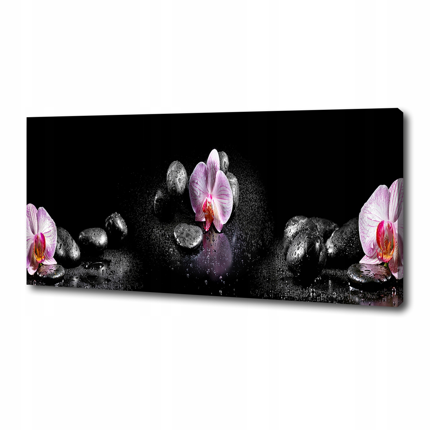 

Foto obraz canvas na ścianę Orchidea 125x50 cm