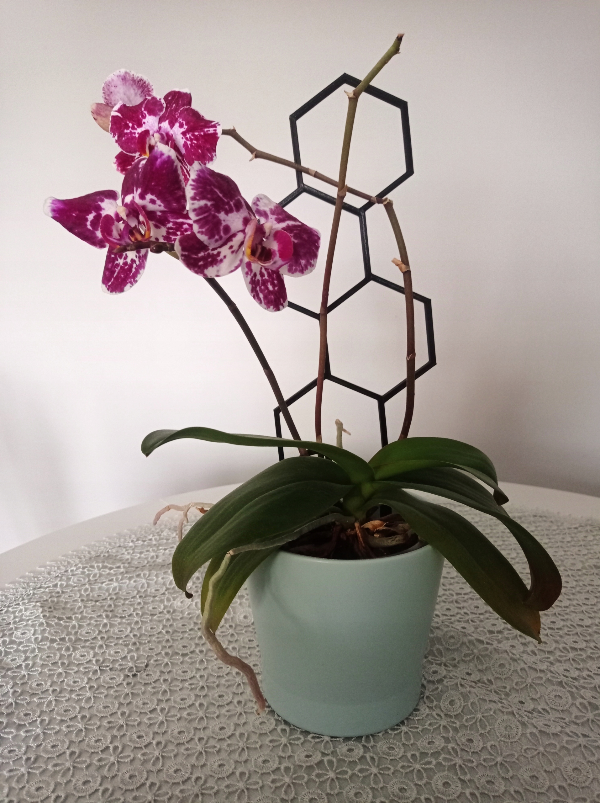 PODPÓRKA DRABINKA PERGOLA KWIATÓW ROŚLIN HEKSAGON Wysokość produktu 35.5 cm