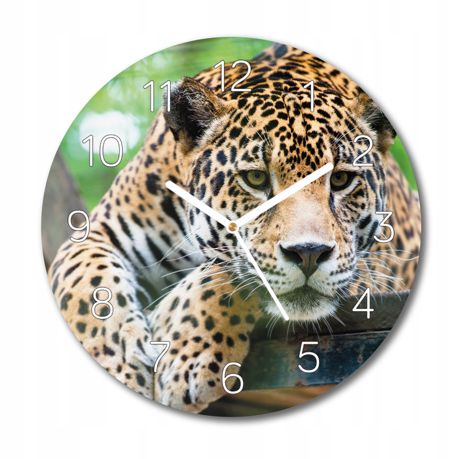 

Jaguar natura ścienny zegar szklany fi 30 z foto