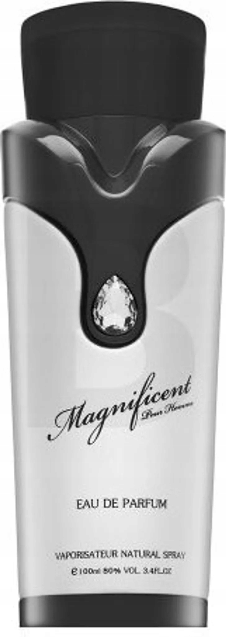 Armaf Vůně pro muže Magnificent Pour Homme Edp 100 ml Men Originální