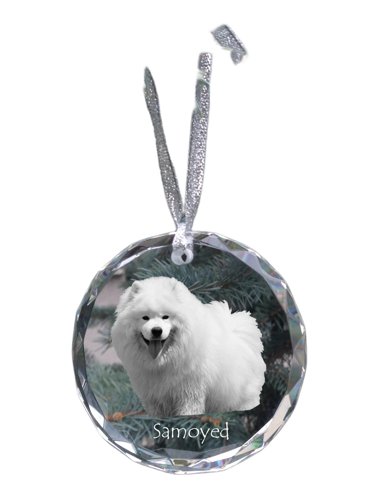 Samojed personalizovaná vánoční koule s fotografií, ozdoba na vánoční stromeček, medailon